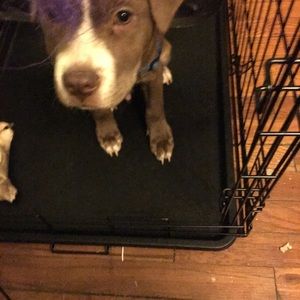 Meet your Posher, Regina